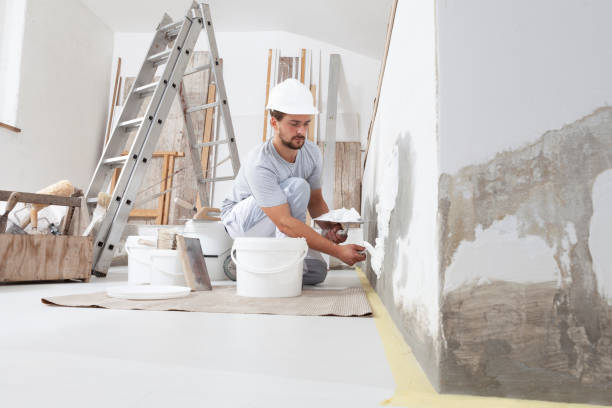 Best Mold Remediation for Healthcare Facilities  in Auxvasse, MO