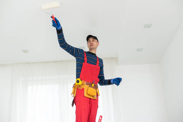 Best Mold Damage Restoration  in Auxvasse, MO