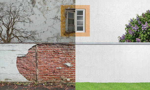 Best Real Estate Mold Inspection  in Auxvasse, MO