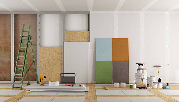 Best Emergency Mold Remediation  in Auxvasse, MO